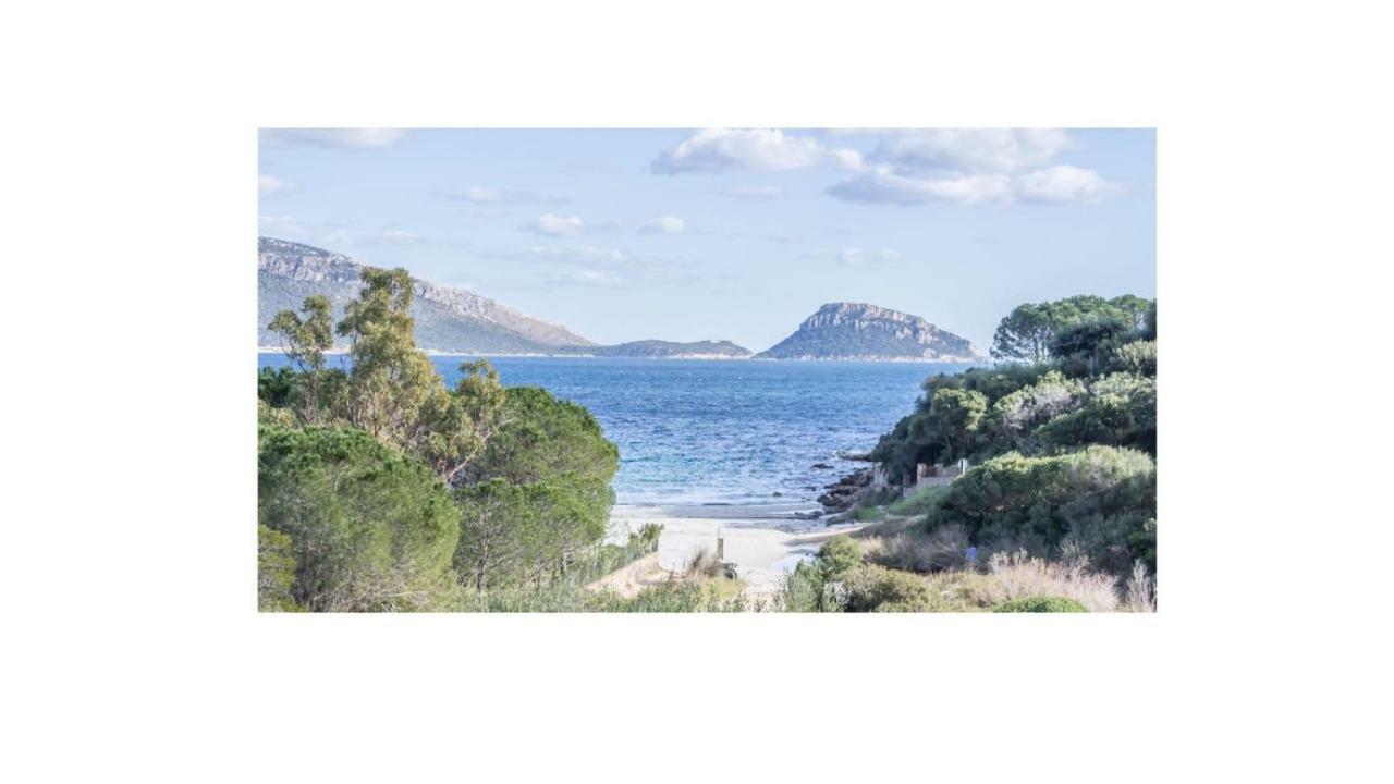 Villa Aranzos 阿兰奇湾城 外观 照片