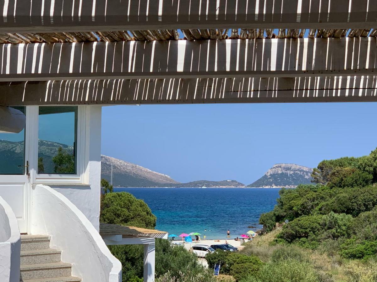 Villa Aranzos 阿兰奇湾城 外观 照片